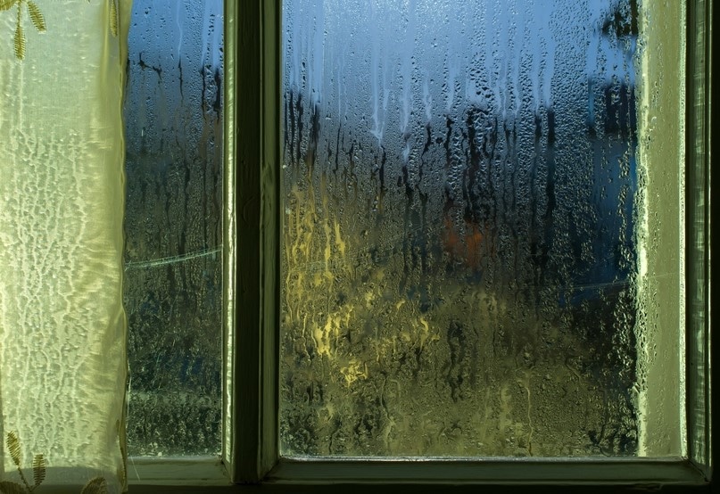 Why Is My House So Humid?